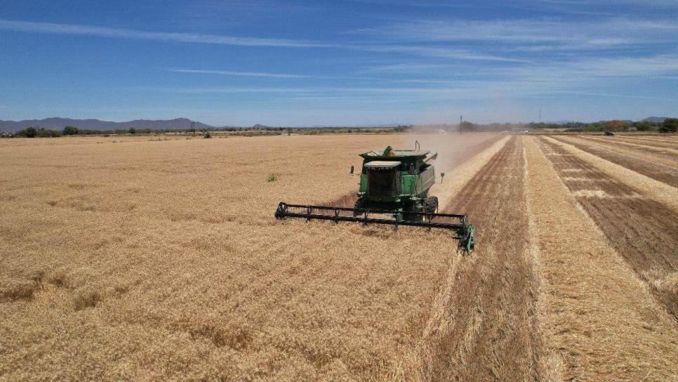 El productor no puede estar produciendo alimentos con pérdidas: CAADES