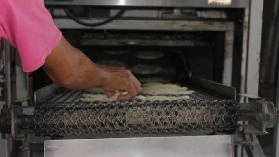 Sube el precio de la tortilla en el sur de Sinaloa; aquí te decimos en cuánto está el kilo Sube el precio de la tortilla en el sur de Sinaloa; aquí te decimos en cuánto está el kilo