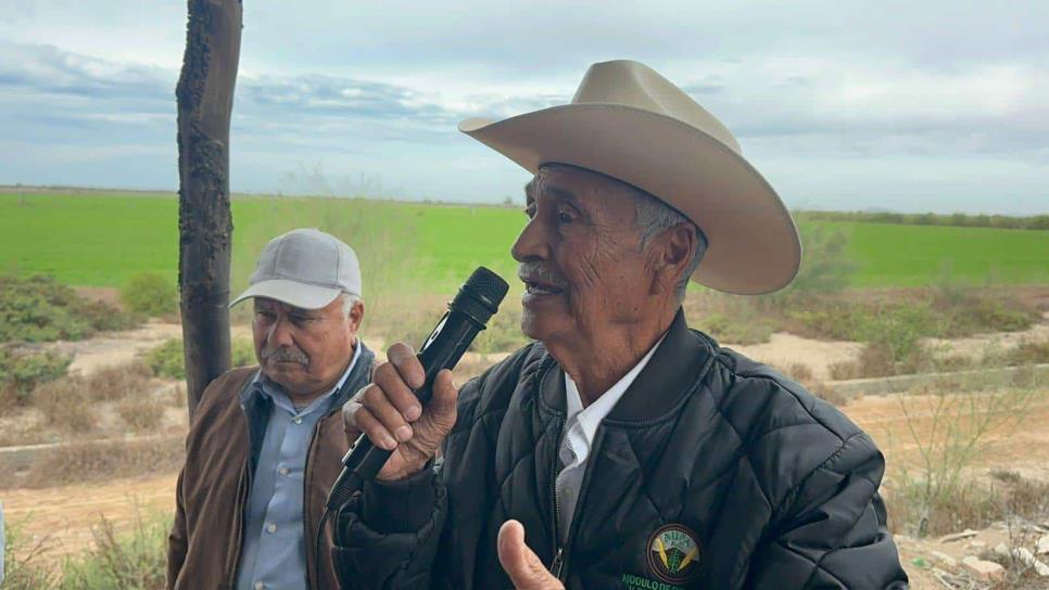 Trigueros de Sinaloa buscarán agilizar pagos en reunión con Gobierno Federal