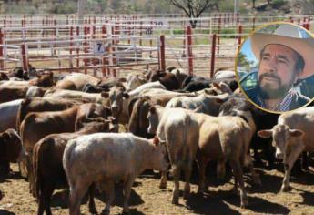 Ganaderos abandonan 2 mil 174 animales por la violencia en Sinaloa