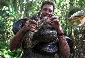 Encuentran una enorme serpiente anaconda de 8 metros en un río | VIDEO