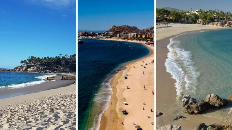 Estas son las tres mejores y espectaculares playas de Los Cabos que tienes que visitar, según la IA