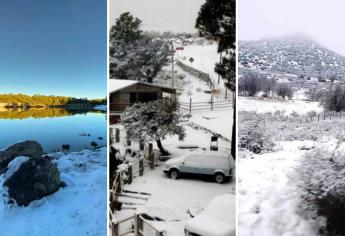 Consejos para disfrutar tus vacaciones de invierno en la sierra de Chihuahua