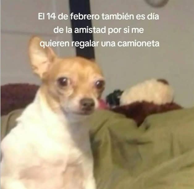 Imagen Placeholder Imagen Placeholder