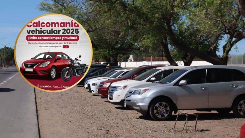 Calcomanía Vehicular 2025 en Sinaloa: ¿Qué modelos pagan y cuando vence el pago?