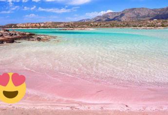 Esta playa de arena rosada es de las más bonitas y visitadas del mundo ¿En dónde se ubica?