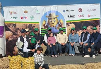 Inicia Festival Pala Papa con cosecha en campo