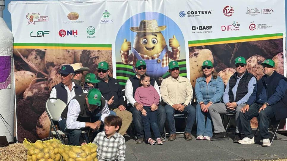 Inicia Festival Pala Papa con cosecha en campo