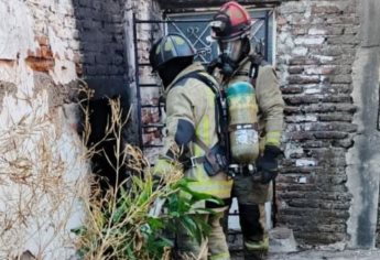 ¡Requerían auxilio! Bomberos Mazatlán salva a perritos atrapados en un incendio 