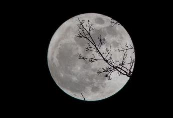 ¿Cuándo ver la Luna de Gusano este 2025 en México?