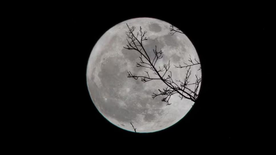 ¿Cuándo ver la Luna de Gusano este 2025 en México?