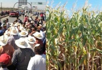 Campesinos Unidos de Sinaloa confían en cumplimiento de pagos el próximo 14 de marzo