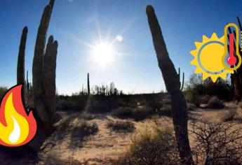 Domo de calor llega a México con temperaturas de 45°c en 8 estados ¿Sinaloa en la lista?