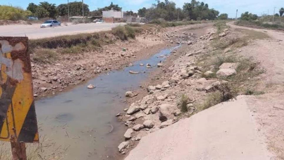 Sequía histórica golpea la agricultura en Sinaloa: presas al 9.2 % de su capacidad