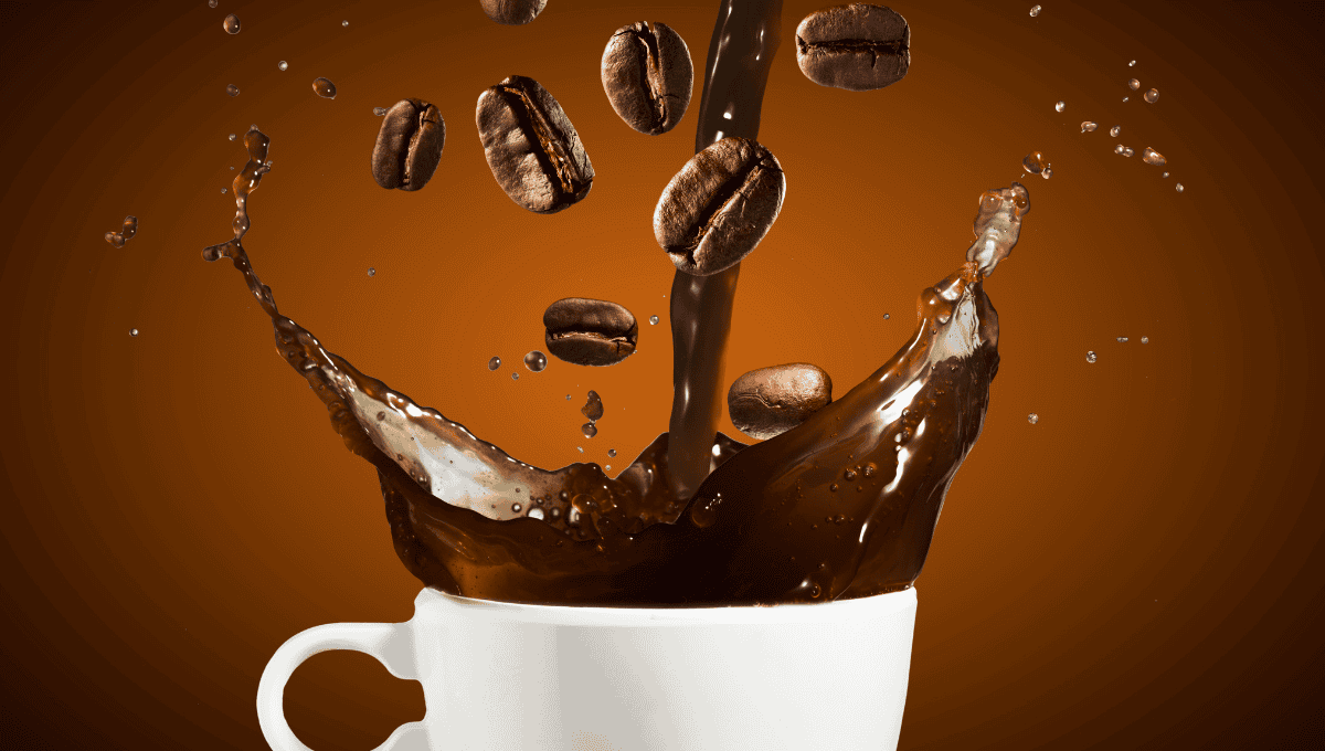 Imagen Placeholder Imagen Placeholder