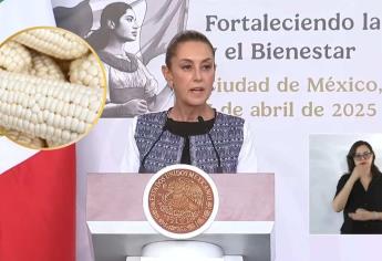 Plan México: producción de maíz blanco aumentará a 25 millones de toneladas