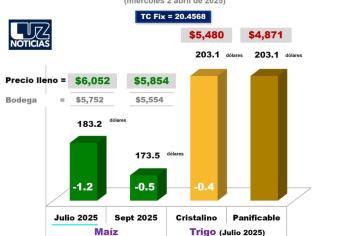 Precio del maíz cae a $5,752 por tonelada; Se incrementa la incertidumbre por aranceles de Trump