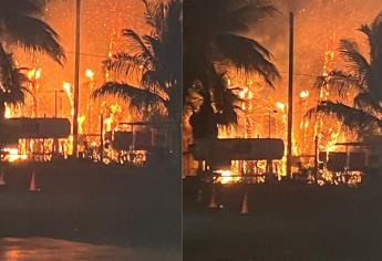Incendio de palmeras en el puerto de Altata, provoca la bomberos en Navolato