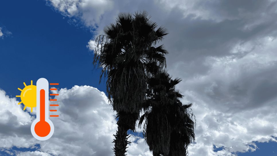 Clima en Los Mochis este miércoles, 09 de abril: cielos despejados y calor intenso