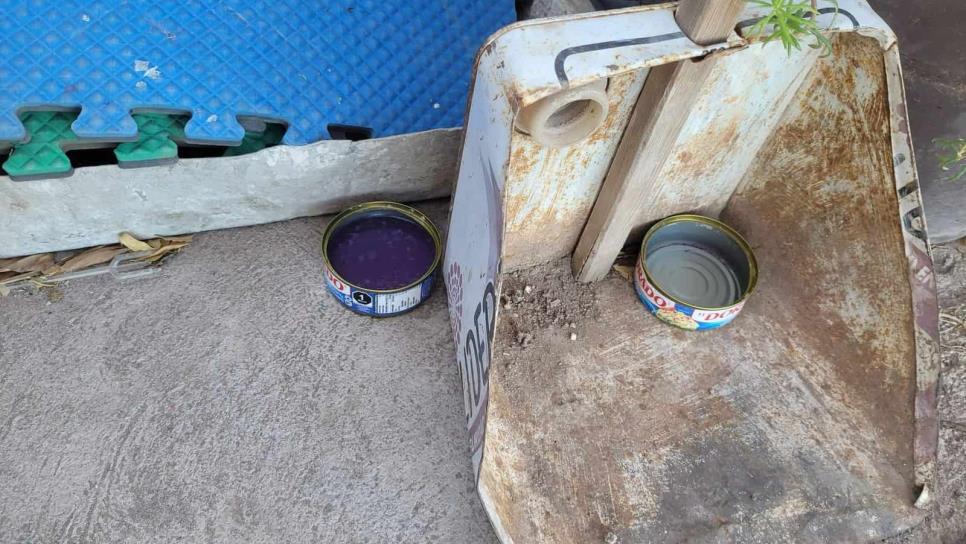 Envenenan gatos en Ahome con latas de atún con líquido morado; incrementan casos