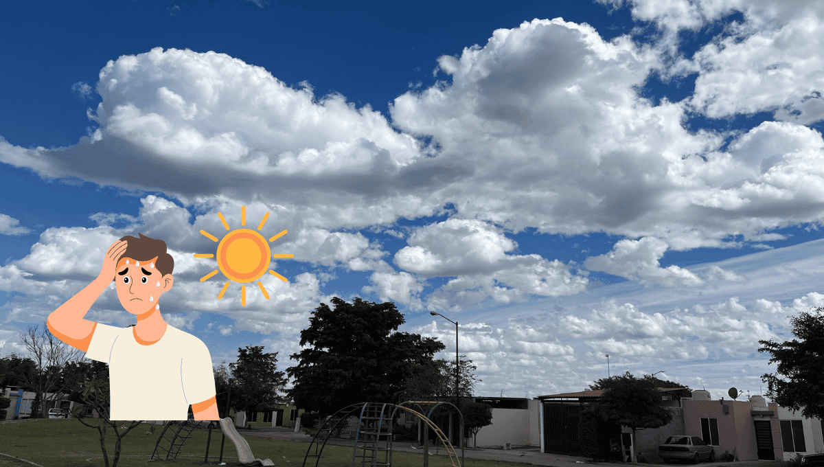 Imagen Placeholder Imagen Placeholder