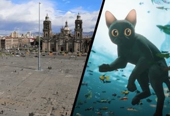 Proyectarán Flow de manera gratuita en el Zócalo de la CDMX por el Día del Niño