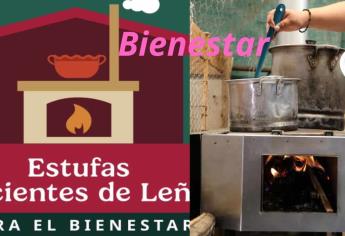 Estufa del Bienestar 2025: Esta es la manera más fácil de conseguirla