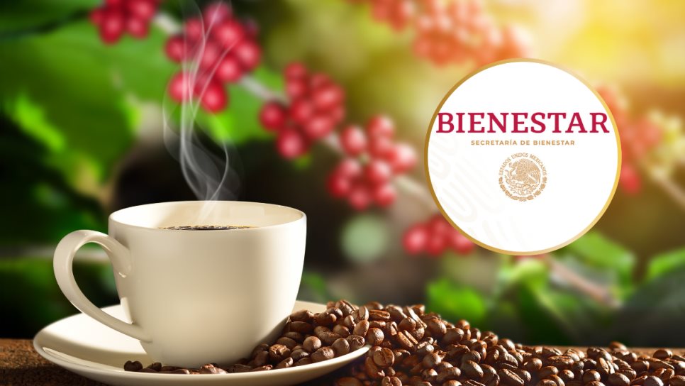 Café del Bienestar llega para competir con Nescafé: ¿Cuánto cuesta y dónde comprarlo?