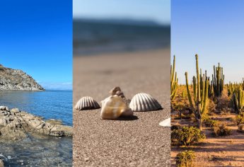 La playa de los caracoles en Sonora que debes visitar en esta Semana Santa 2025; ¿Cómo llegar? | VIDEO