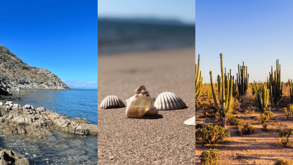 La playa de los caracoles en Sonora que debes visitar en esta Semana Santa 2025; ¿Cómo llegar? | VIDEO