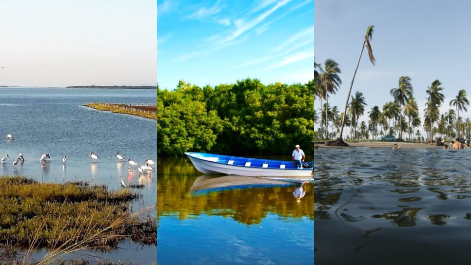 Playa al sur de Sinaloa que es una joya escondida en el estado por su costa tranquila y hermosa naturaleza Playa al sur de Sinaloa que es una joya escondida en el estado por su costa tranquila y hermosa naturaleza