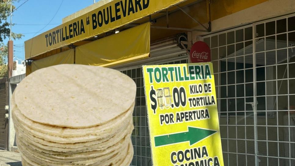 En Culiacán este es el precio del kilo de tortilla en 2025, ¿es excesivo?