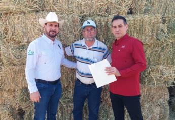 Entregará UGRS forraje y suplementos gratis a ganaderos de Sinaloa en crisis por sequía