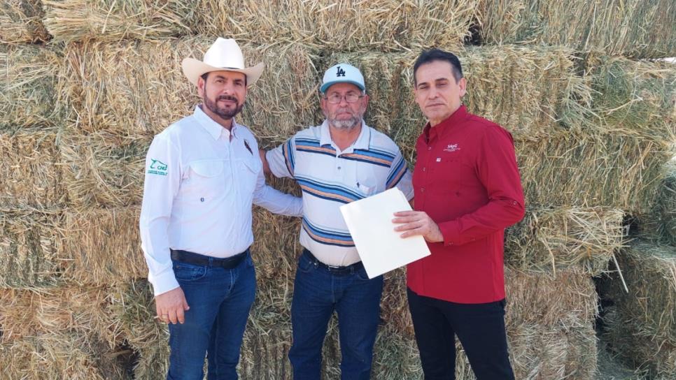 Entregará UGRS forraje y suplementos gratis a ganaderos de Sinaloa en crisis por sequía