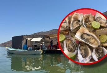 ¿Cuánto cuesta la orden de ostiones en esta casita en medio del mar?