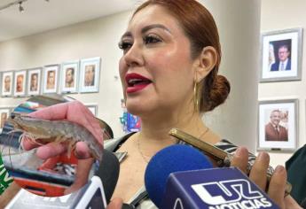 Empieza operativo de inspección por veda del camarón en Mazatlán