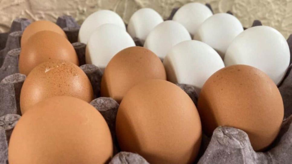 ¿El huevo va al refrigerador o alacena?, esto dice la Profeco ¿El huevo va al refrigerador o alacena?, esto dice la Profeco