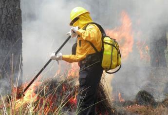 Más de 30 incendios forestales se han registrado durante el 2025 en Sinaloa
