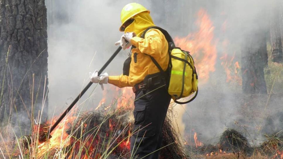 Más de 30 incendios forestales se han registrado durante el 2025 en Sinaloa