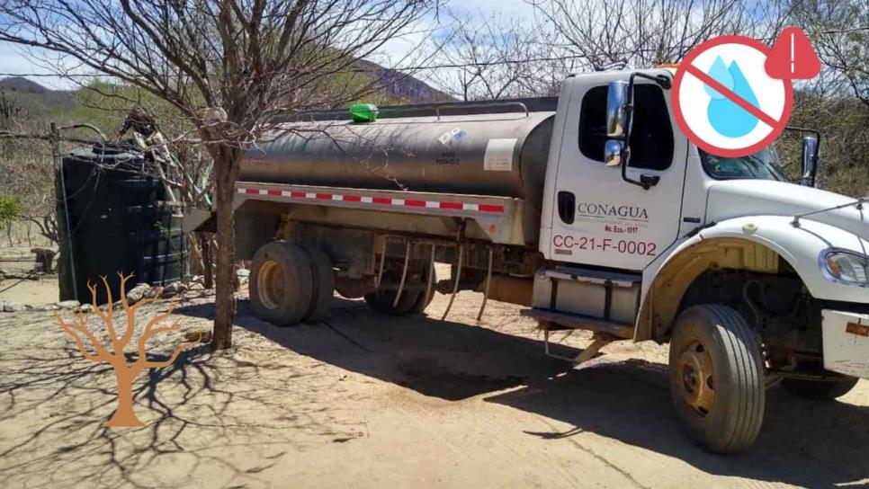 “No nos damos abasto”: alcaldesa de Choix solicitará más pipas para atender falta de agua “No nos damos abasto”: alcaldesa de Choix solicitará más pipas para atender falta de agua