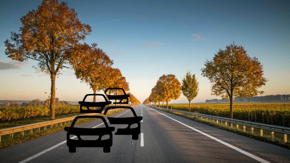 Semana Santa 2025: Cuidado si sales a la carretera en tu auto, estos son los vehículos más robados Semana Santa 2025: Cuidado si sales a la carretera en tu auto, estos son los vehículos más robados