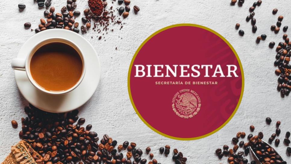 Café del Bienestar: ¿Qué tan bueno es y a quién beneficiará?