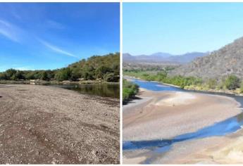 ¿Por qué no podrás bañarte en el río Fuerte? Esto debes saber