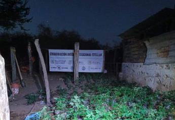 Grupo Interinstitucional localizó y erradicó un plantío de mariguana en el municipio de Elota