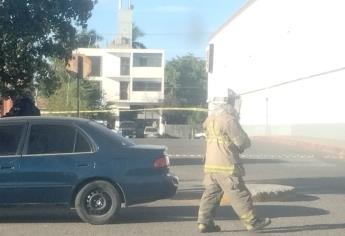 Abejas atacan a clientes en supermercado de Los Mochis y causan múltiples lesiones