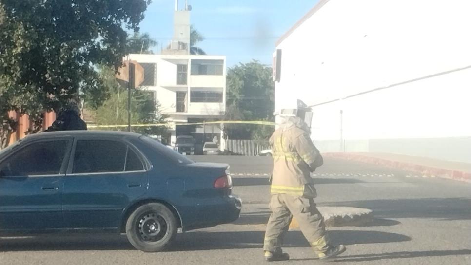 Abejas atacan a clientes en supermercado de Los Mochis y causan múltiples lesiones