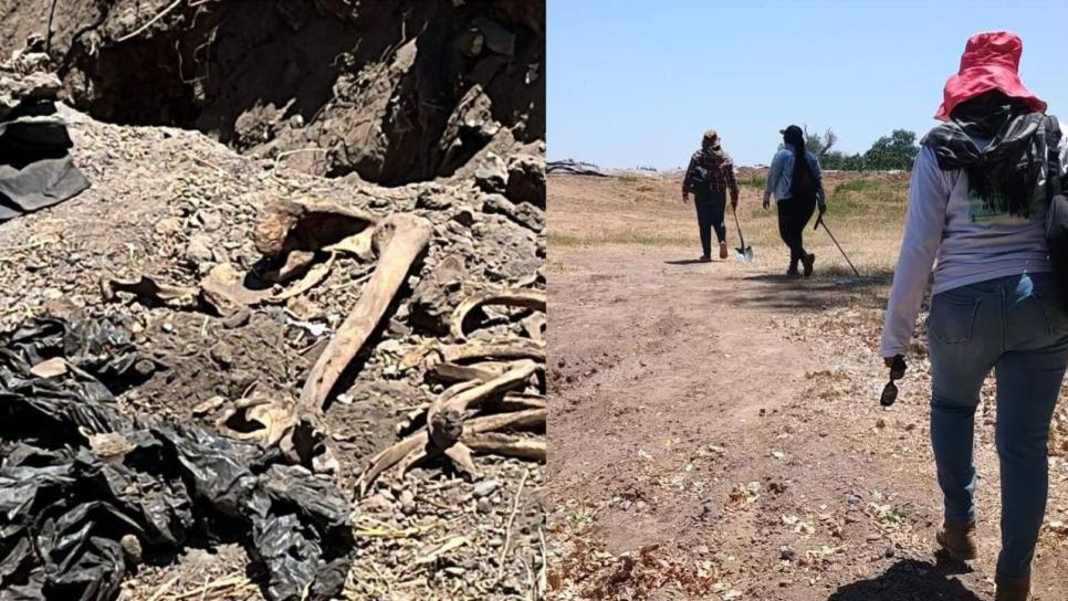 Encuentran restos humanos en Casa Blanca durante operativo de búsqueda en Guasave Encuentran restos humanos en Casa Blanca durante operativo de búsqueda en Guasave