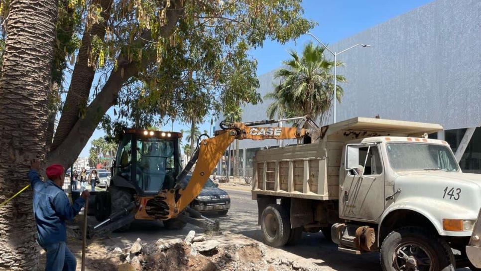 Cruce peatonal en el Parque Sinaloa de Los Mochis estará listo este fin de semana