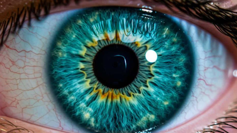 Científicos descubren un nuevo color nunca antes visto y lo llamaron ‘Olo’, ¿cómo es? Científicos descubren un nuevo color nunca antes visto y lo llamaron ‘Olo’, ¿cómo es?