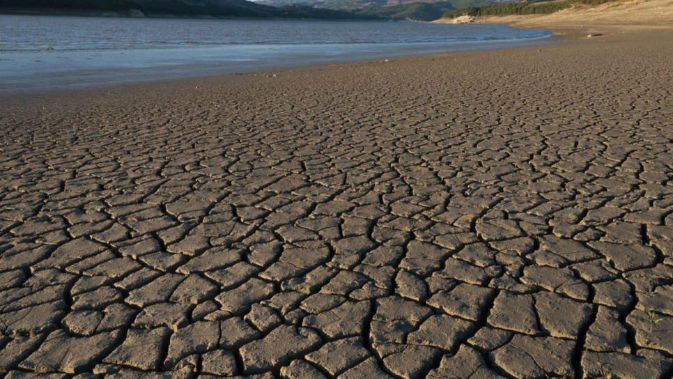 Sequía se extiende en el norte del país, estos son los estados más afectados